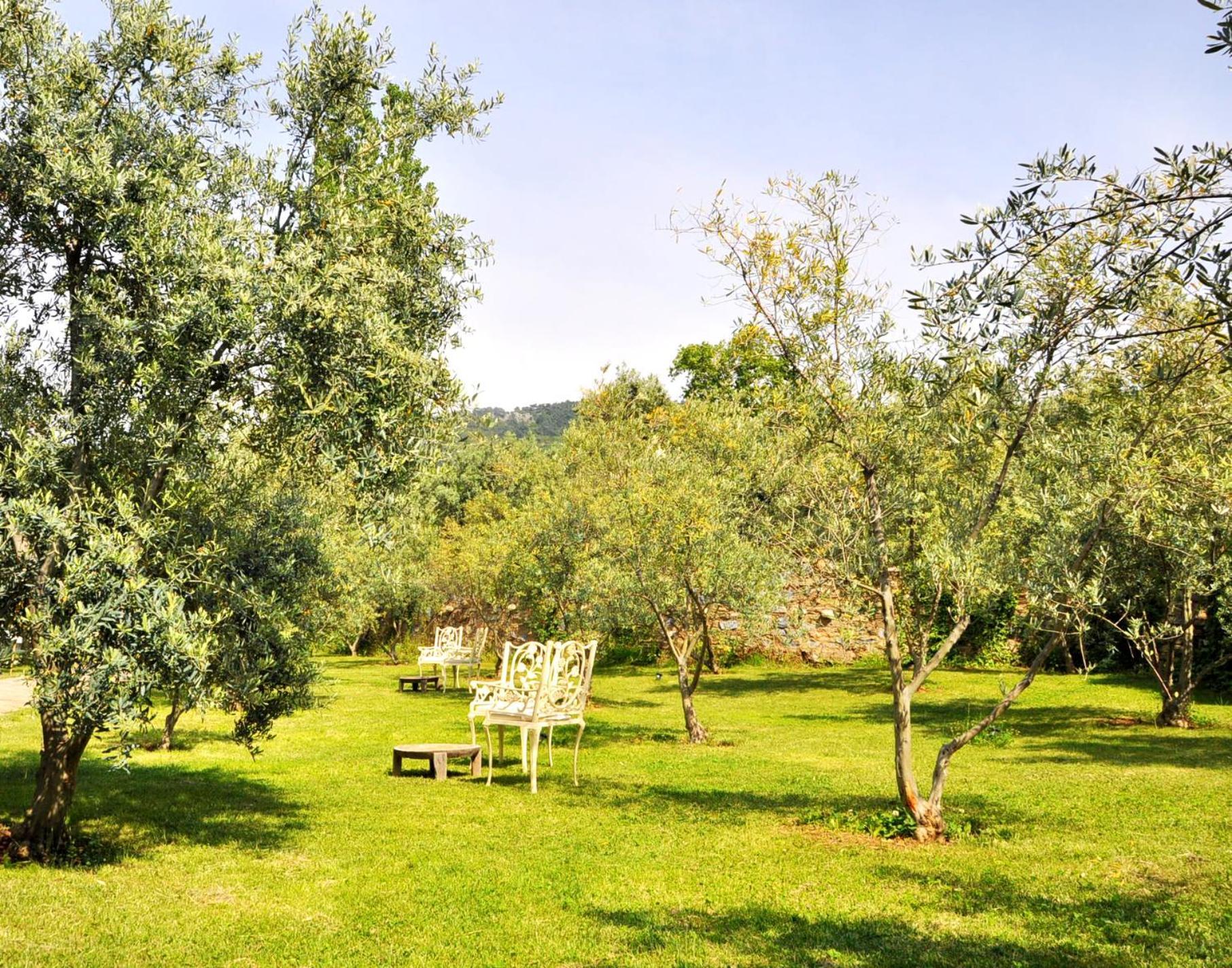 Gullu Konaklari Selcuk Exteriér fotografie
