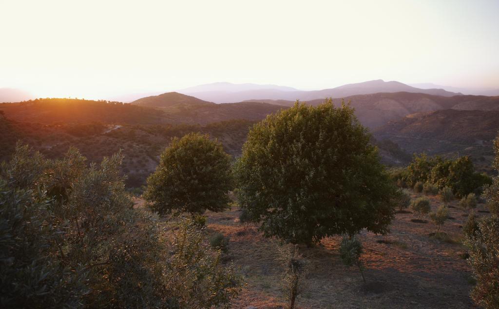 Gullu Konaklari Selcuk Exteriér fotografie